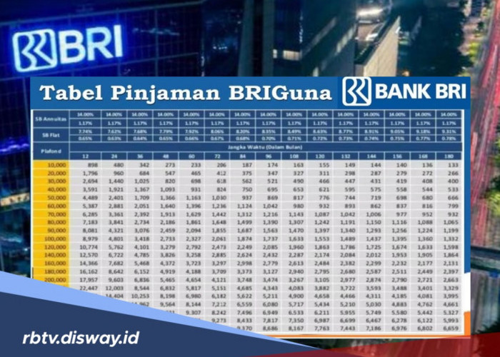 Proses Pengajuan Ketika PPPK Mengajukan Pinjaman BRIguna Karya