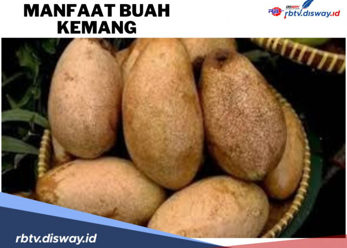 10 Manfaat Buah Kemang untuk Kesehatan Tubuh, Sudah Tahu Belum? 