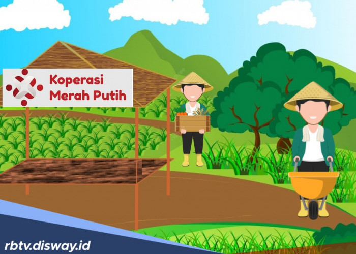 Untuk Kades, Begini Tahapan Pendirian Koperasi Merah Putih Berdasar Petunjuk Menteri Koperasi