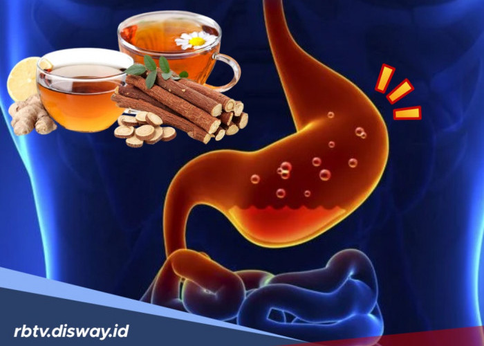 4 Obat Herbal Ampuh Atasi GERD, Solusi Alami Selain Dokter