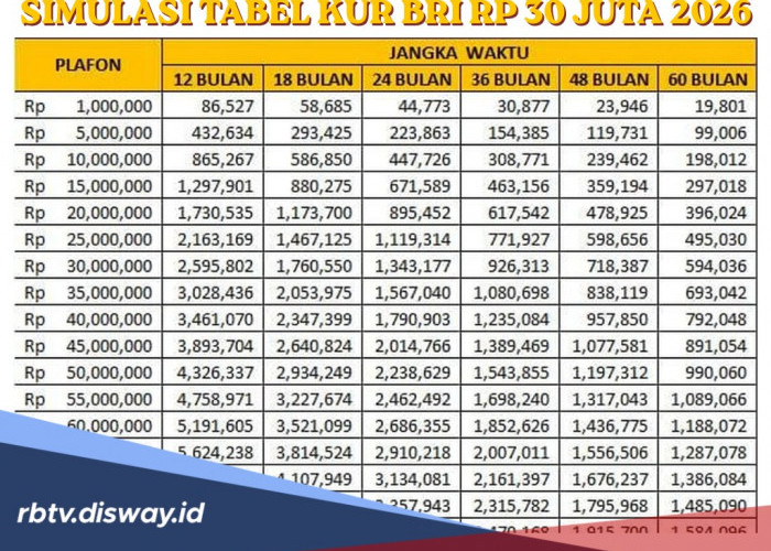 Tabel KUR BRI Pinjaman Rp 30 Juta, Bagaimana Cara Tahu Kalau SLIK OJK Bermasalah