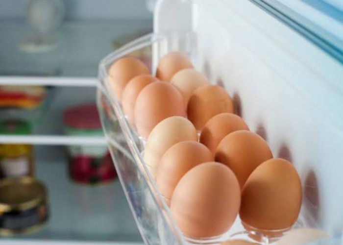 6 Makanan yang Tidak Boleh Disimpan di Pintu Kulkas, Salah Satunya Telur, Ini Penjelasannya