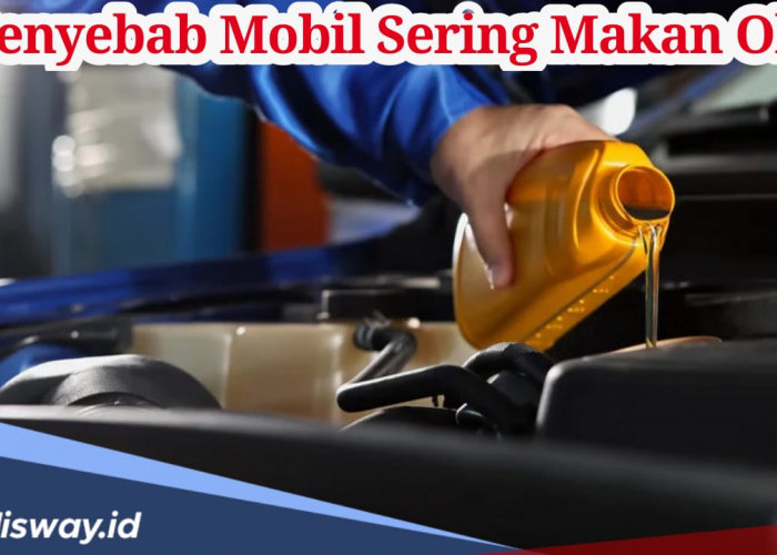 Sering Dianggap Sepele, Ini Penyebab Mobil Sering Makan Oli