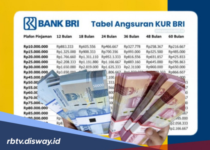 Rangkuman Penyebab Pengajuan Pinjaman KUR BRI 2025 Ditolak dan Solusinya, Coba Lagi Bulan November Ini 