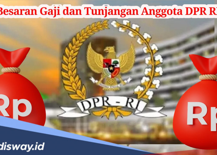 Gagal Dilantik, Tia Rahmania Gugat PDIP! Ternyata, Segini Gaji dan Tunjangan Anggota DPR RI Per Bulan