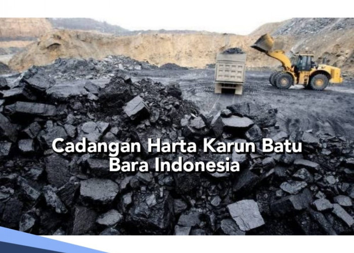 Stok Melimpah, Ini 16 Daerah yang Punya Cadangan Harta Karun Batu Bara Terbesar di Indonesia