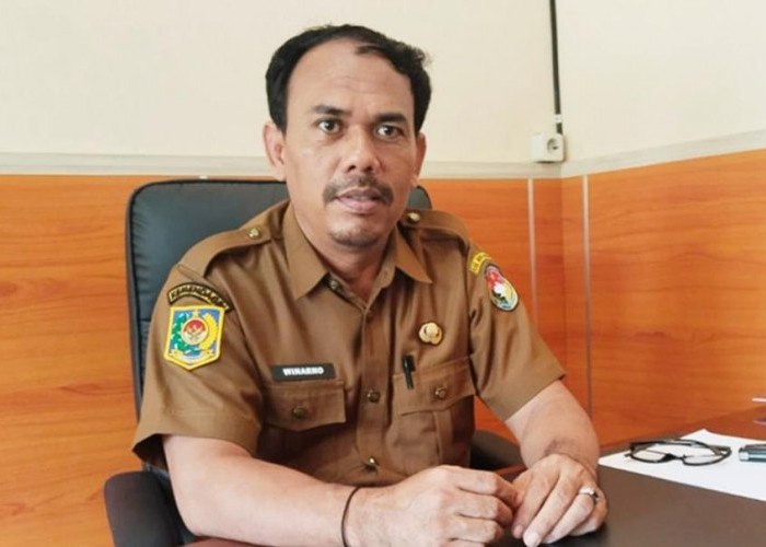 BKN Buka Layanan Usul Pemberhentian ASN dan PPPK Mulai 1 Agustus 2026, BKPSDM Mukomuko: Bukan PHK Massal