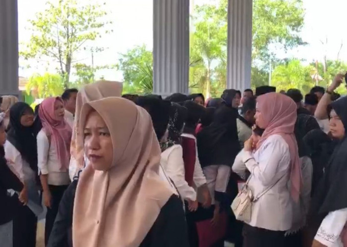 400 Guru Honor Daerah Mukomuko Tahun Ini Diangkat PPPK