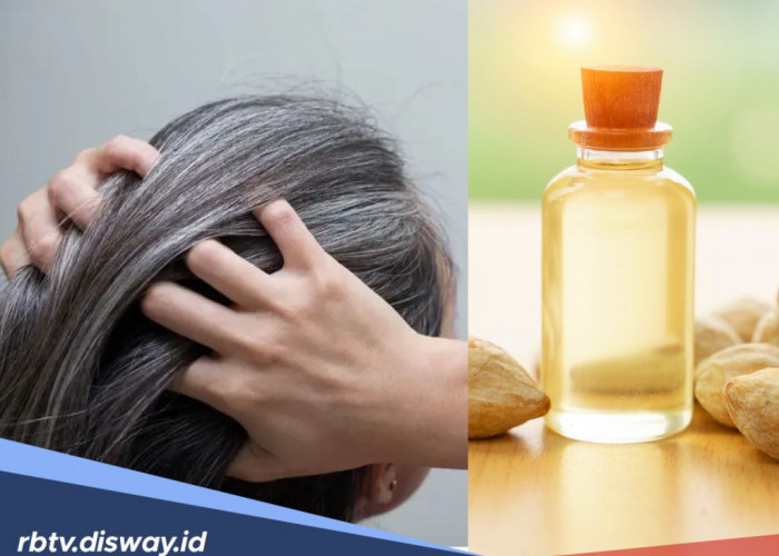 Cara Alami Menghilangkan Uban Secara Permanen dengan Minyak Kemiri dan Urang-aring