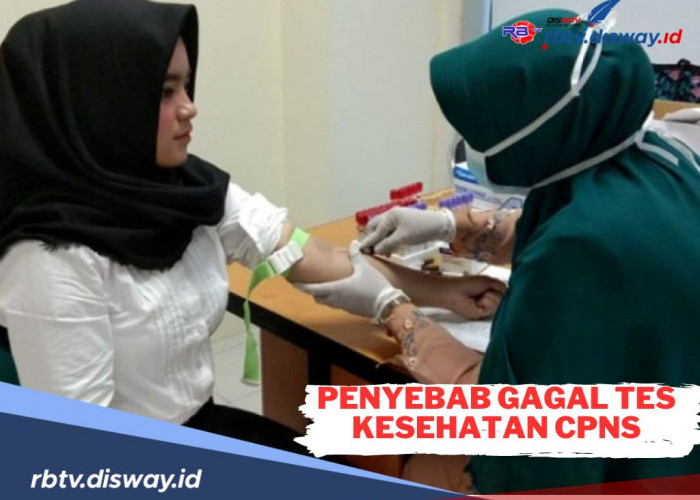 5 Penyebab Gagal Tes Kesehatan CPNS 2024, Pahami dan Atasi Dengan Cara Berikut