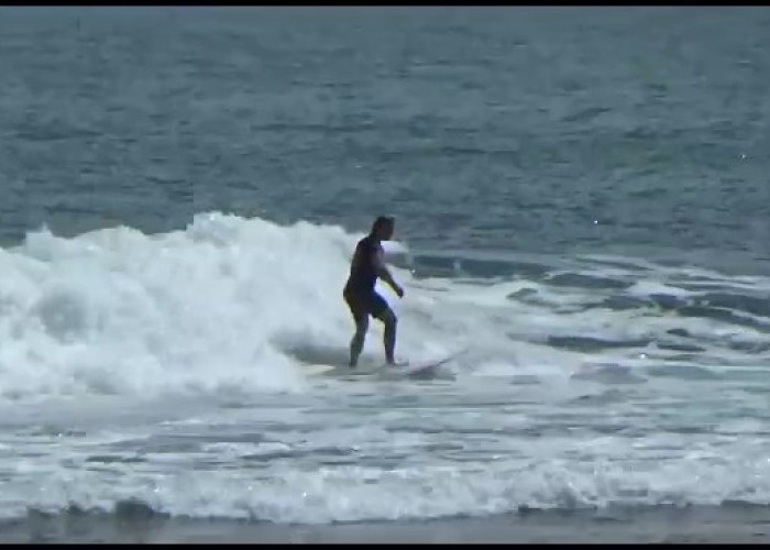 Lomba Surfing Contest di Kaur, Peselancar Asal Krui Dominasi Pemenang 