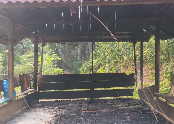 Dua Pondok Antrean DO Sawit di Seluma Terbakar, Polisi Lakukan Penyelidikan