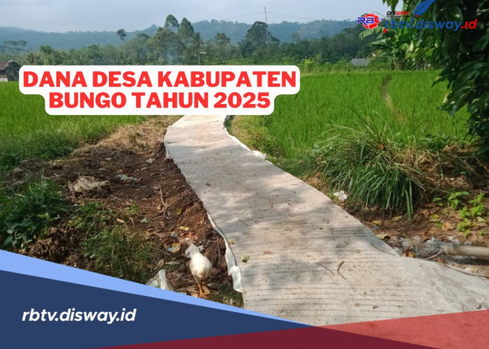 Rincian Dana Desa Kabupaten Bungo Tahun 2025 yang Dikucurkan Pemerintah untuk 141 Desa