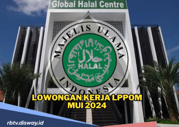 Kabar Gembira! Lowongan Kerja LPPOM MUI 2024 Dibuka, Ini Link Pendaftaran