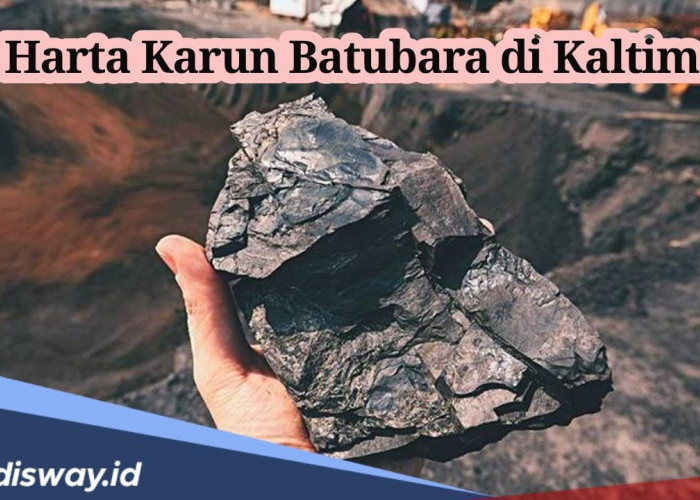 Penguasa Harta Karun Terbesar di Indonesia, Segini Jumlah Cadangan Batu Bara Kalimantan Timur