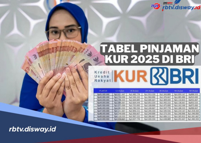 Tabel KUR BRI 2025, Pinjam Rp 225 Juta, Berapa Angsurannya? Berikut Cara dan Syaratnya   