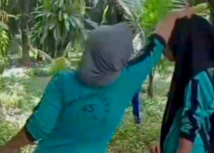 Video Perundungan Siswi SMP Seluma di Kebun Sawit Gegerkan Warganet