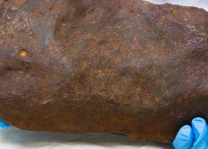 Some Stones Actually Contain Gold, Here Are the Characteristics