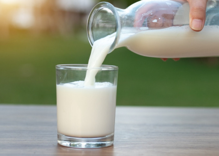 Ternyata Susu Tidak hanya Baik untuk Tulang, Berikut Ragam Manfaat Susu yang Belum Banyak Diketahui
