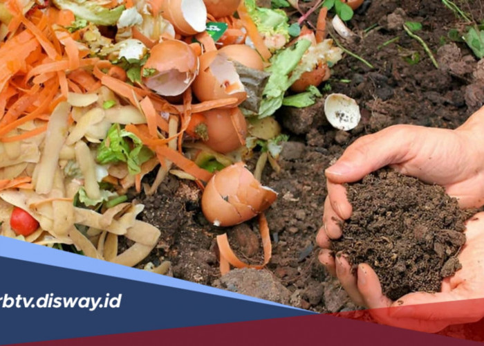 Sampah Dapur Jangan Dibuang! Bisa Disulap Jadi Pupuk Kompos, Begini Cara Membuatnya