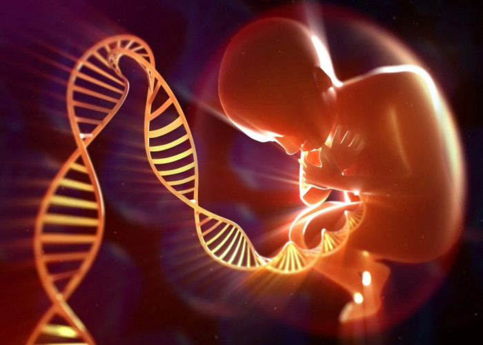 Wajib Tahu, Ada Beberapa Penyakit Genetik yang Rupanya Bisa Turun ke Anak