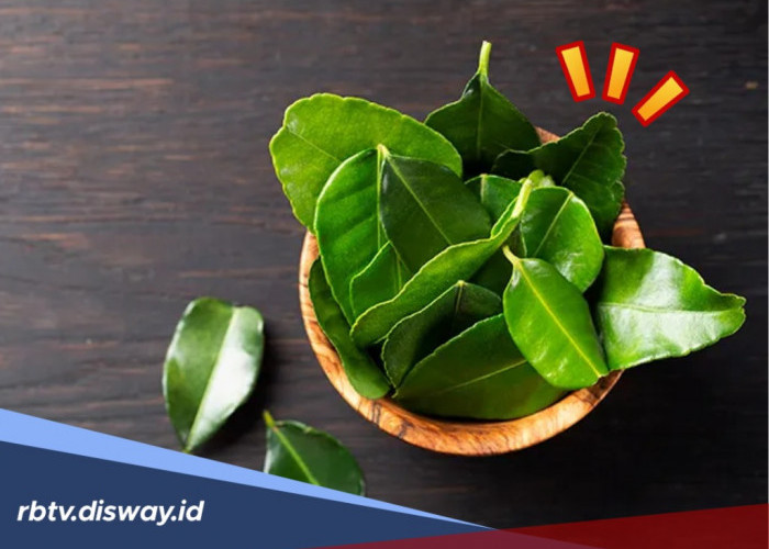 6 Manfaat Daun Jeruk Nipis untuk Kesehatan, Nomor 6 Belum Banyak yang Tahu
