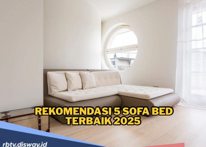 10 Rekomendasi Sofa Bed Terbaik 2025, Nyaman dan Harga Terjangkau 