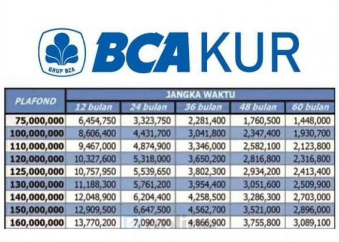 Berapa Bunga KUR di Bank BCA? Ini Info Terbaru KUR BCA Januari 2024, Lengkap dengan Cara Pengajuan
