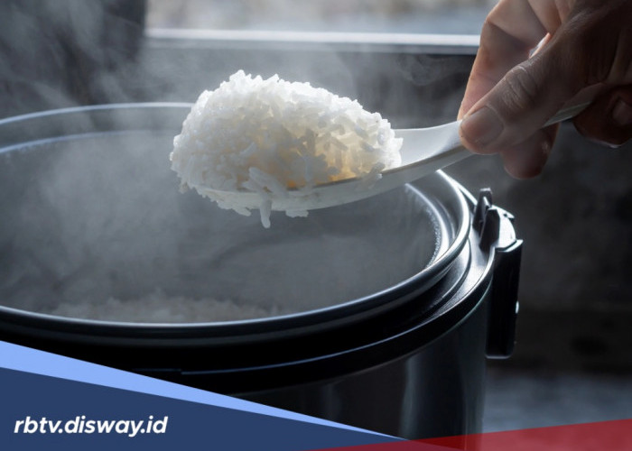 Penyebab dan Cara Mengatasi Magic Com yang Berair, Tidak Harus Ganti Baru