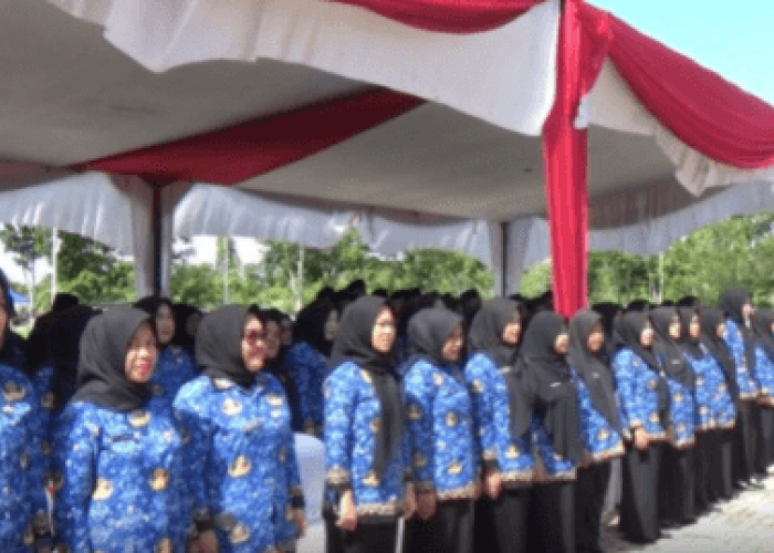 Ini Jadwal Pembagian SK untuk 1.875 PPPK Paruh Waktu di Mukomuko