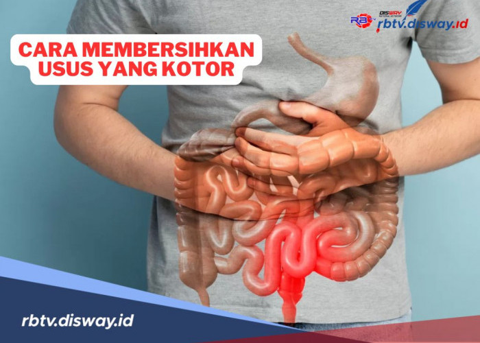 6 Cara Alami Bersihkan Usus yang Kotor, Bisa Dilakukan di Rumah