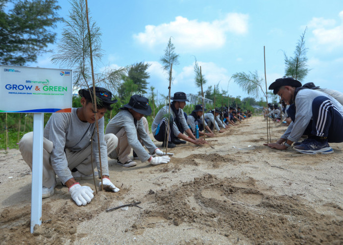 Hari Lingkungan Hidup Sedunia: BRI Komitmen Jaga Ekosistem Lingkungan Lewat BRI Menanam-Grow & Green