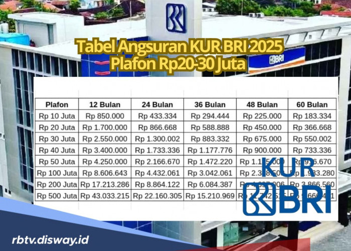 Tabel Angsuran KUR BRI 2025 Pinjaman Rp20 dan Rp30 Juta, Cek Dokumen Pengajuannya