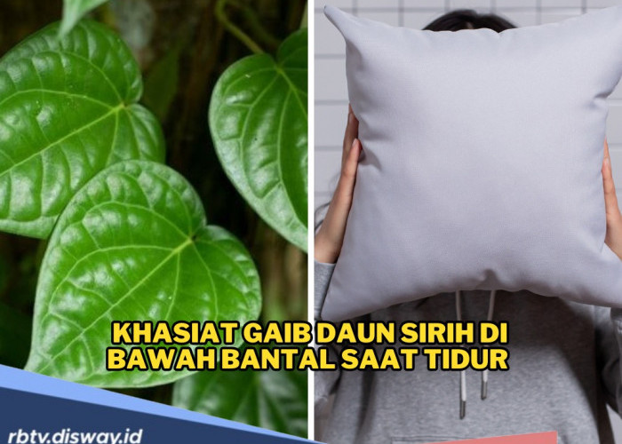 Berani Coba? Ini Khasiat Gaib Daun Sirih Di Bawah Bantal Saat Tidur, Tradisi Leluhur yang Ternyata Punya Kekua