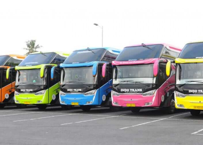 Rute dan Tarif Bus Handoyo VIP dan Executive Jakarta-Jember 2026