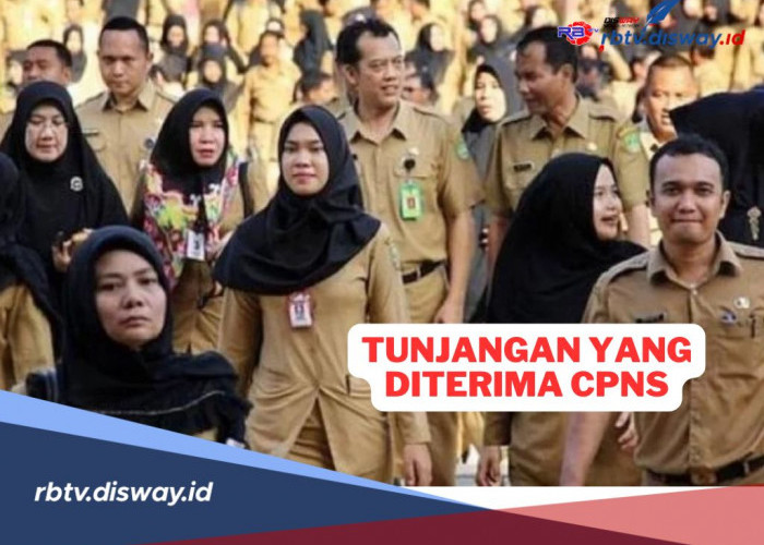 Makin Sejahtera! Ini Tunjangan yang Diterima CPNS, Menggiurkan Bukan?