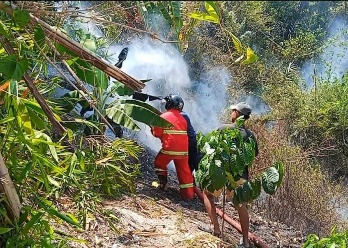 Lahan di Desa Taba Renah Kabupaten Rejang Lebong Terbakar Akibat Aktivitas Bakar Sampah