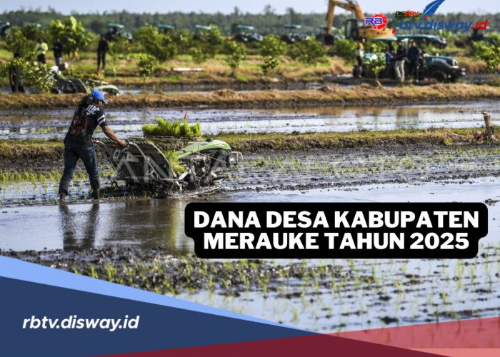 Rincian Dana Desa Kabupaten Merauke Tahun 2025, Cek Anggaran Desamu di Sini