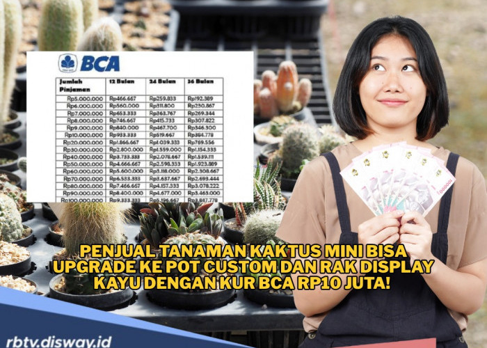 Cicilan KUR BCA 2025 untuk Peluang Bisnis Jualan Kaktus, Pinjaman Rp10 Juta Angsuran Rp10 Ribuan 