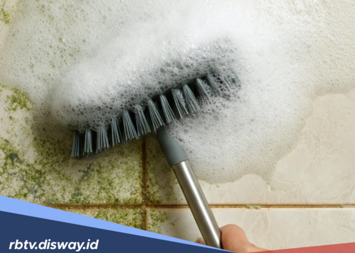 Pakai Bahan Alami Ini untuk Menghilangkan Lumut di Kamar Mandi, Hasilnya Bikin Takjub