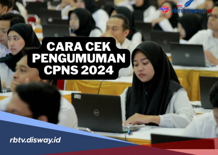 Cara Cek Pengumuman Kelulusan CPNS 2024 Melalui Laman Resmi SSCASN