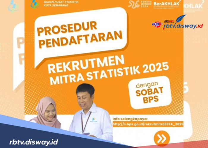 Buruan Daftar! Dibutuhkan 1.267 Calon Mitra Statistik di Kota Semarang, Ini Syarat dan Cara Daftarnya