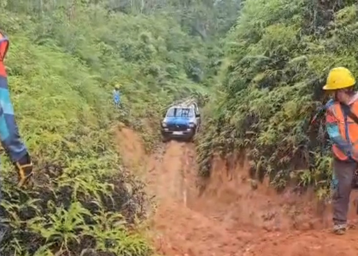 Tebang Pohon Tak Ada Koordinasi Dengan PLN, Jaringan Listrik Seluma Terputus 