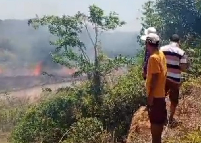 Lahan Perkebunan Kelapa Sawit Sekitar Taman Kuliner Tais Hangus Terbakar 