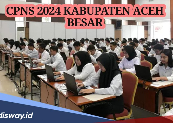 Informasi Terbaru Syarat dan Formasi CPNS 2024 untuk Pemerintah Kabupaten Aceh Besar