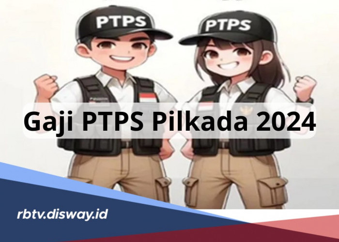 Berapa Gaji PTPS Pilkada 2024, Lengkap dengan Tugas dan Wewenang