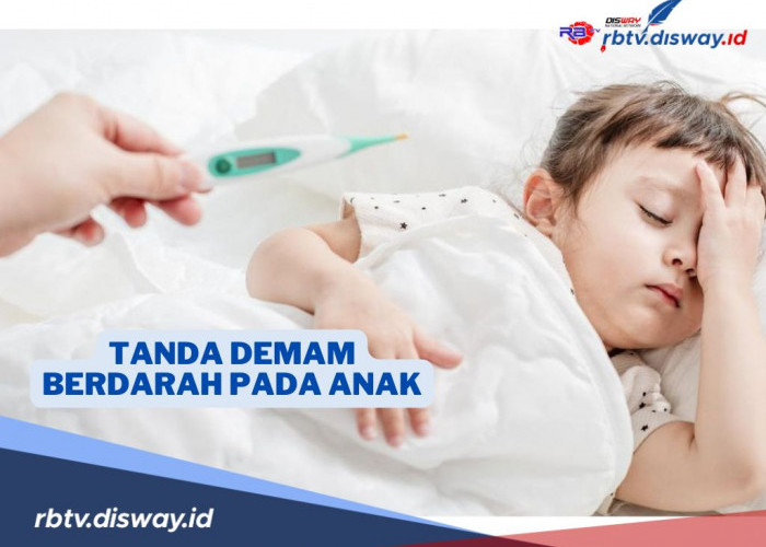 Penting Jangan Diabaikan, Kenali Ini Tanda-tanda dan Fase Demam Berdarah (DBD) pada Anak