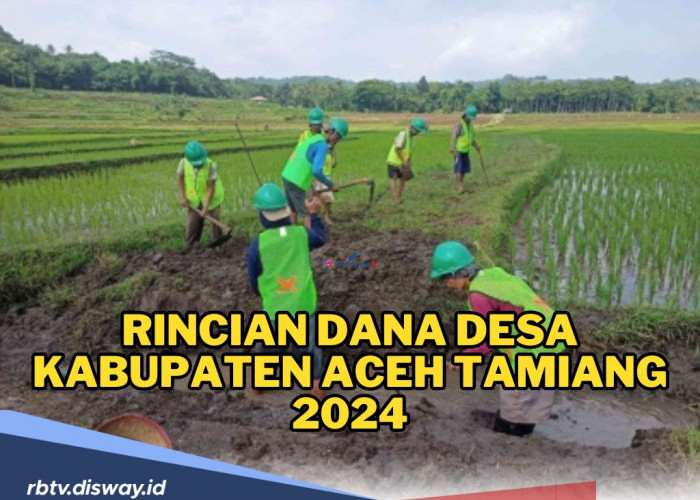 Rincian Dana Desa Kabupaten Aceh Tamiang 2024, Mana Desa yang Paling Besar Terima Alokasi Dana Desa 2024?