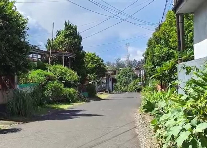 Dugaan Penipuan, Nenek 62 Tahun Diduga Dihipnotis Via Telepon, Uang Rp 33 Juta Lenyap