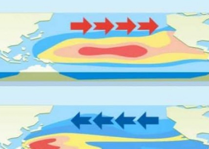 Mari Tambah Wawasan, Ini Perbedaan Antara El Nino dan La Nina